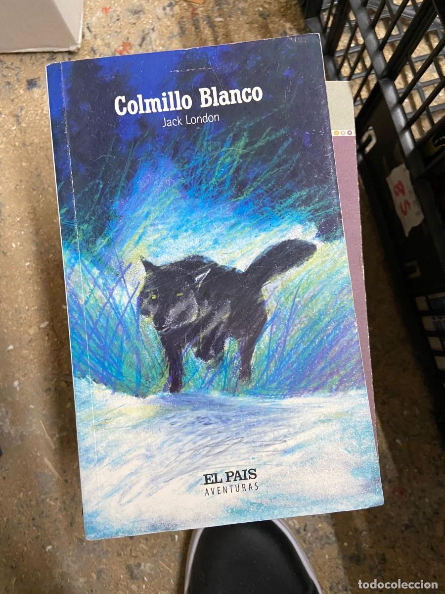 Libros de segunda mano: Caja85 COLMILLO BLANCO, JACK LONDON - Foto 1
