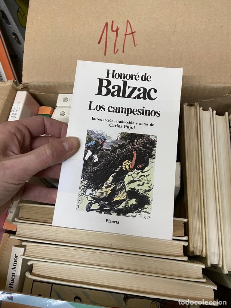 Libros de segunda mano: 14A HONORE DE BALZAC, LOS CAMPESINOS, PLANETA - Foto 1
