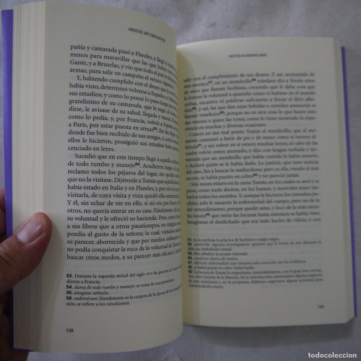 Libros de segunda mano: NOVELAS EJEMPLARES - MIGUEL DE CERVANTES - LA GALERA - 2017 - Foto 7