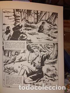 Libros de segunda mano: EL QUIJOTE ILUSTRADO - Foto 10