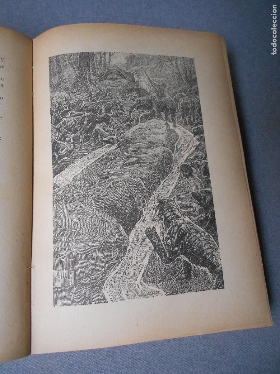 Libros de segunda mano: EL LIBRO DE LAS TIERRAS VIRGENES - Foto 5