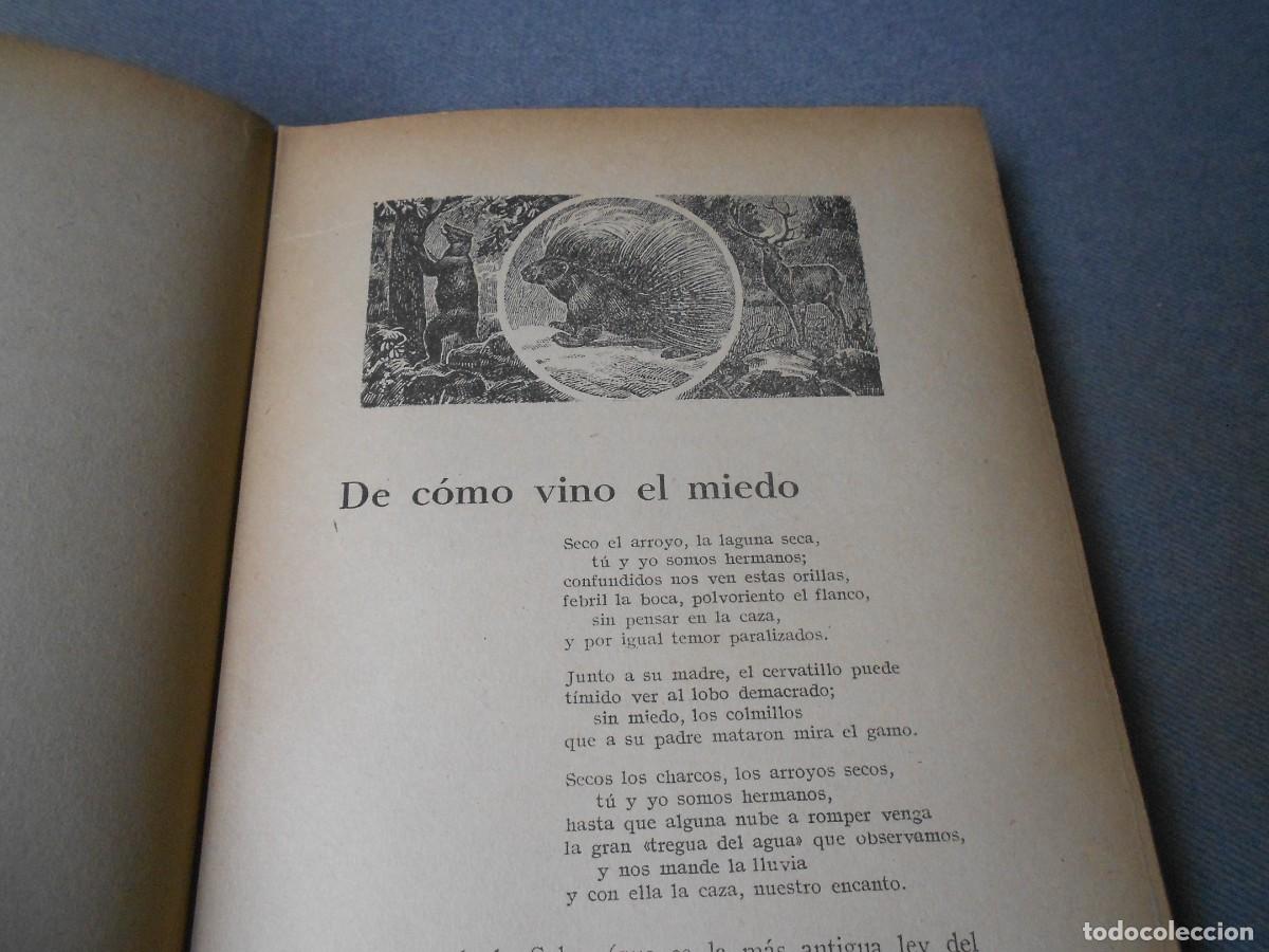 Libros de segunda mano: EL LIBRO DE LAS TIERRAS VIRGENES - Foto 6