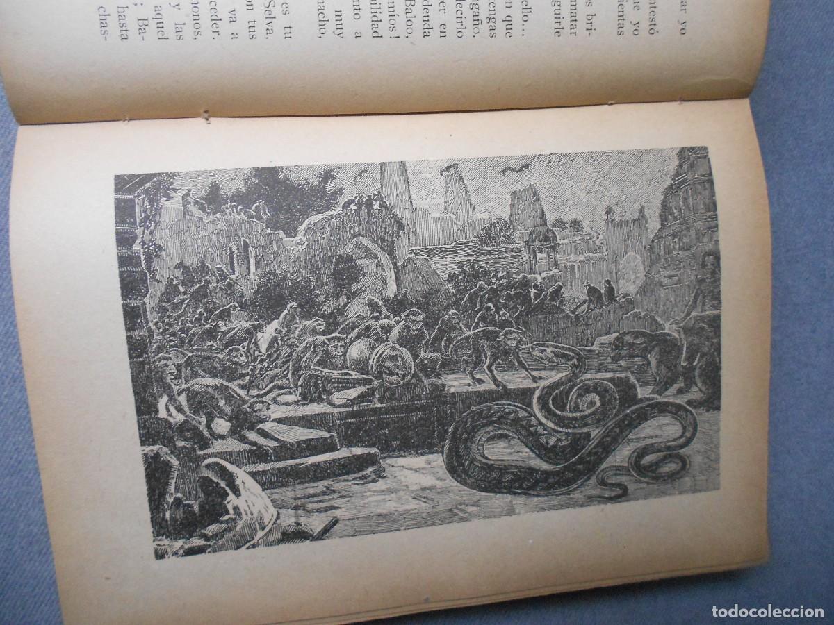 Libros de segunda mano: EL LIBRO DE LAS TIERRAS VIRGENES - Foto 7