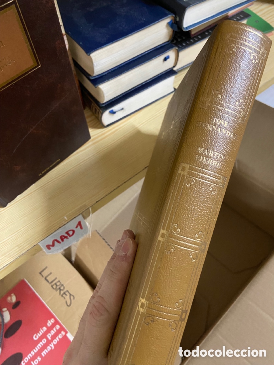 Libros de segunda mano: Blas63B HERN&Aacute;NDEZ, Jos&eacute;. Mart&iacute;n Fierro. - Foto 1