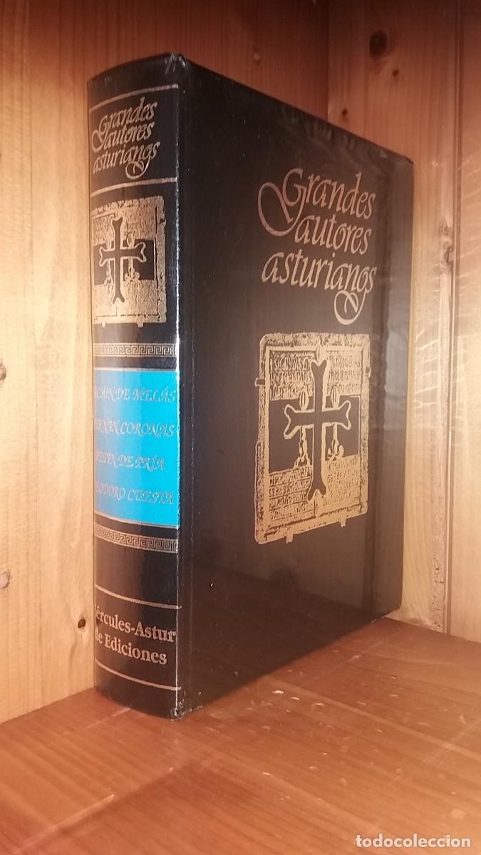 Libros de segunda mano: GRANDES AUTORES ASTURIANOS, PACHIN MELAS, FERNAN CORONAS, PEPIN PRIA, TEODORO CUESTA, HERCULES ASTUR