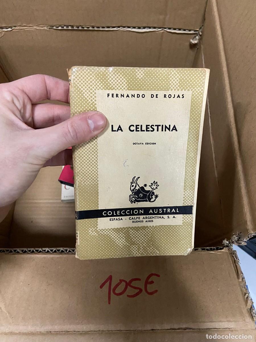 Libros de segunda mano: 105E LA CELESTINA, FERNANDO DE ROJAS, AUSTRAL - Foto 1