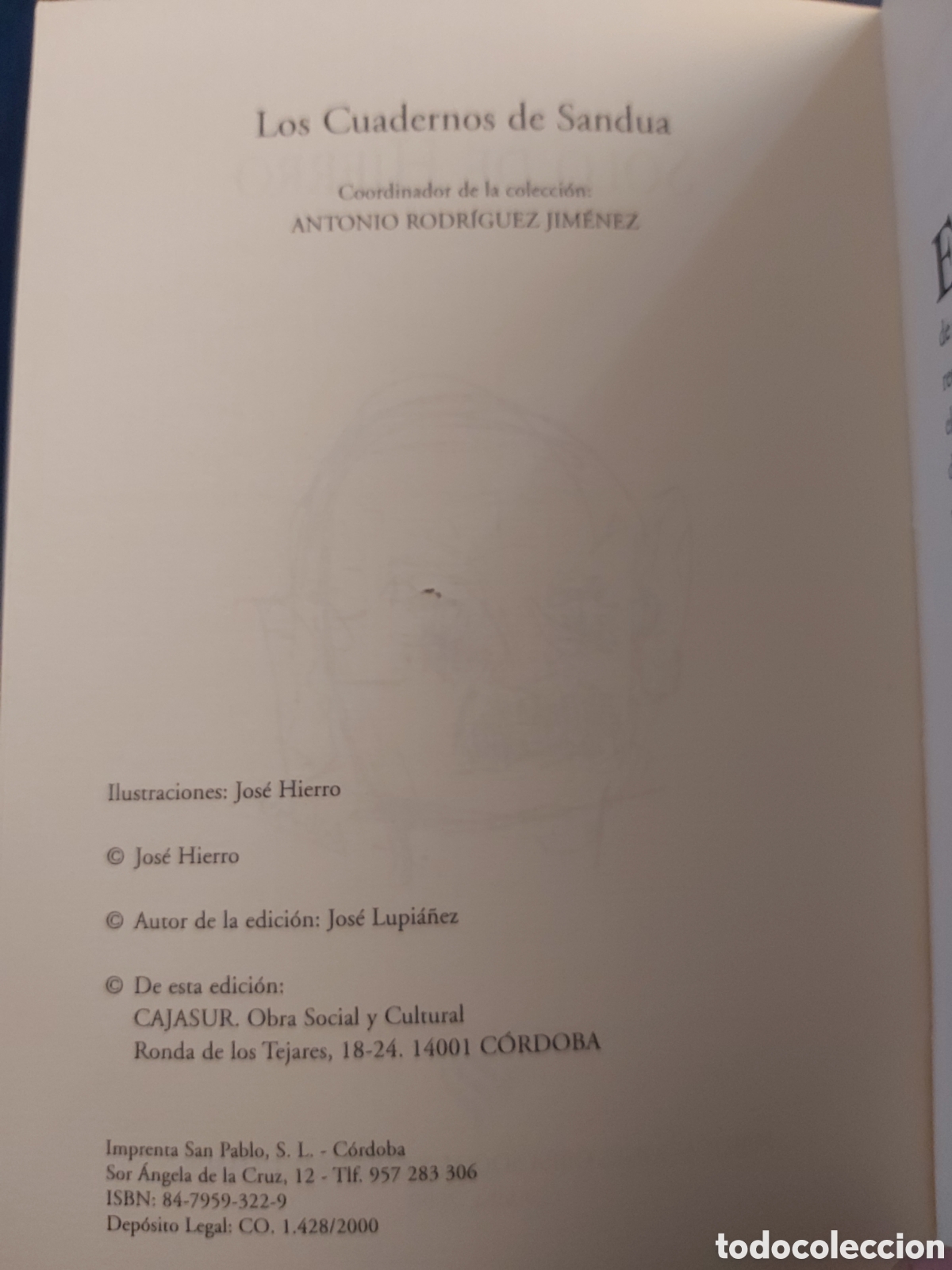 Libros de segunda mano: SOLO DE HIERRO - CAJA SUR PUBLICACIONES - 2000 - Foto 3