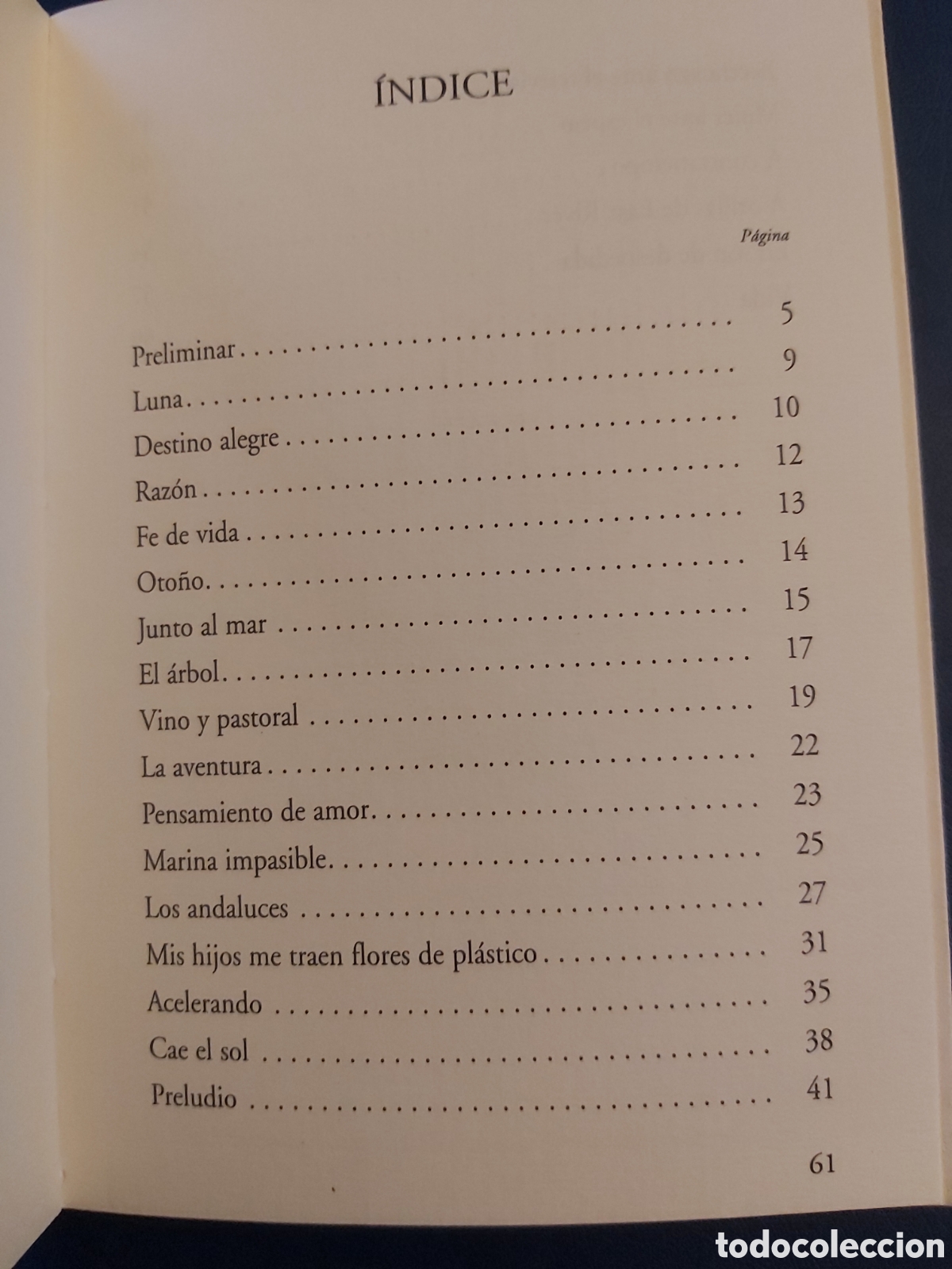 Libros de segunda mano: SOLO DE HIERRO - CAJA SUR PUBLICACIONES - 2000 - Foto 7