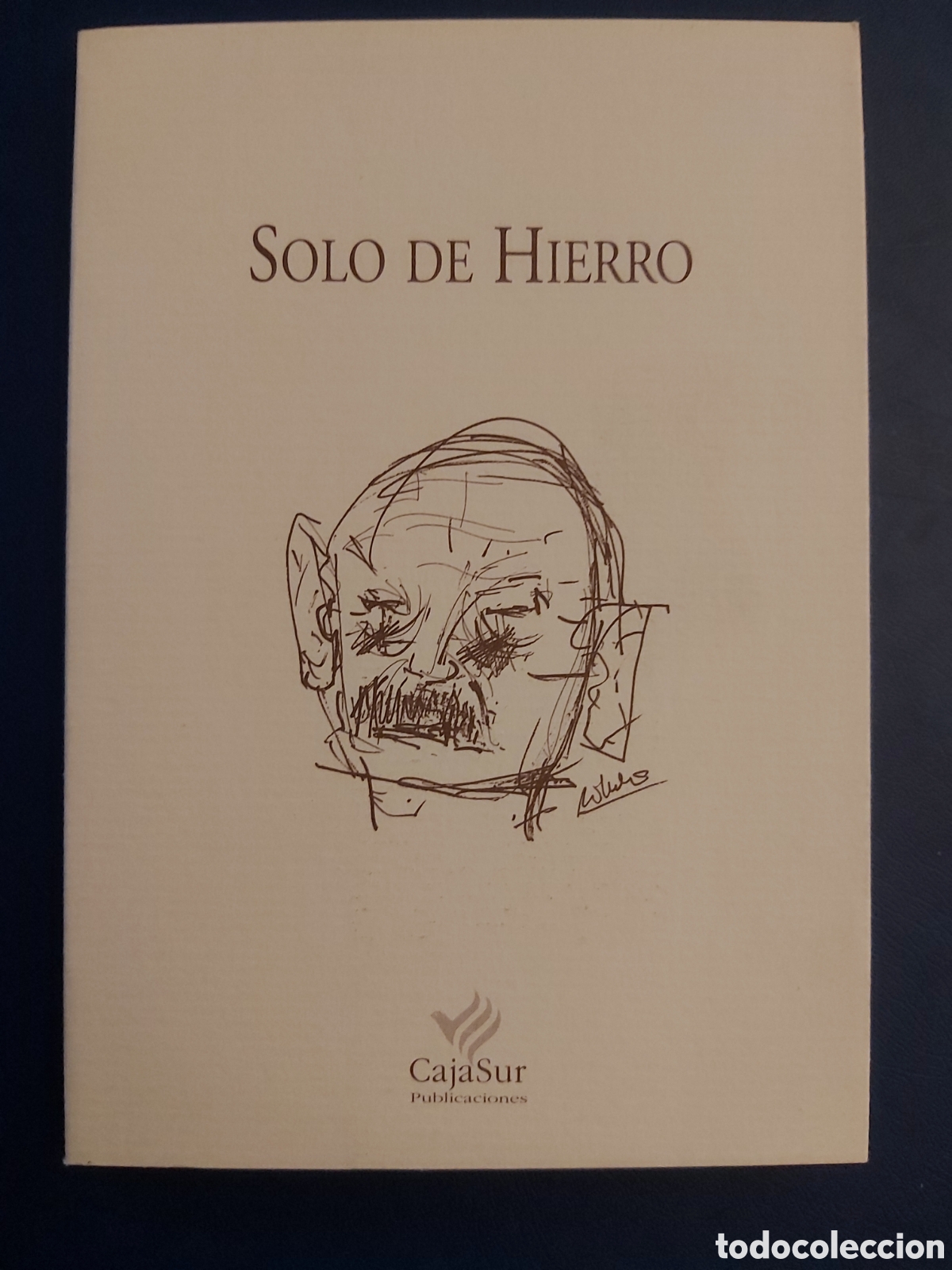 Libros de segunda mano: SOLO DE HIERRO - CAJA SUR PUBLICACIONES - 2000 - Foto 1