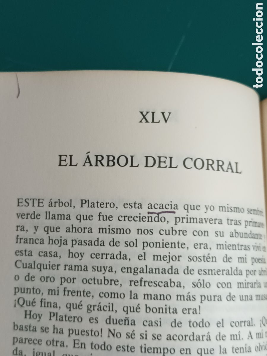 Libros de segunda mano: Juan Ram&oacute;n Jimenez - Platero y yo. C&aacute;tedra 1981 - Foto 5