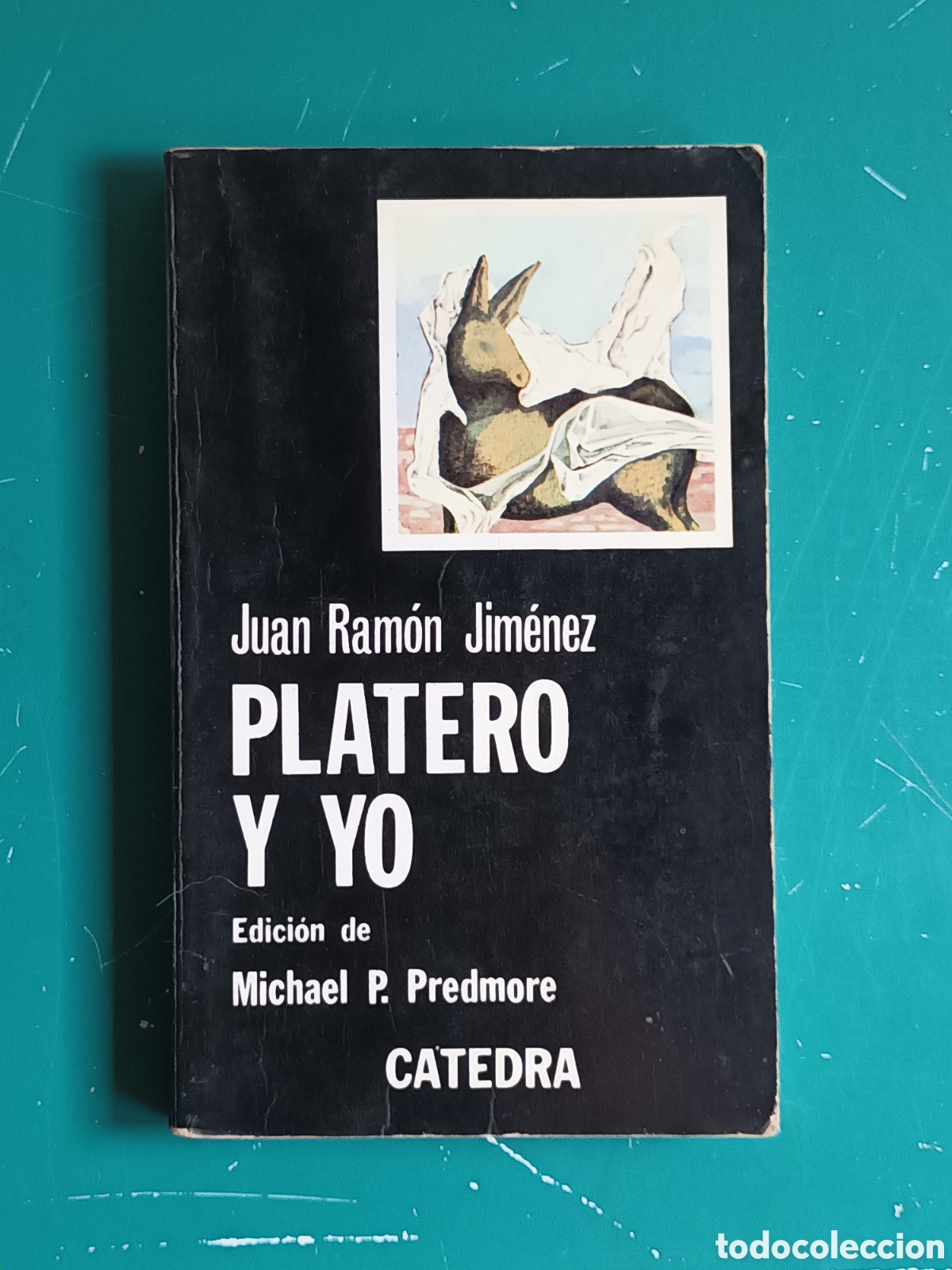 Libros de segunda mano: Juan Ram&oacute;n Jimenez - Platero y yo. C&aacute;tedra 1981 - Foto 1