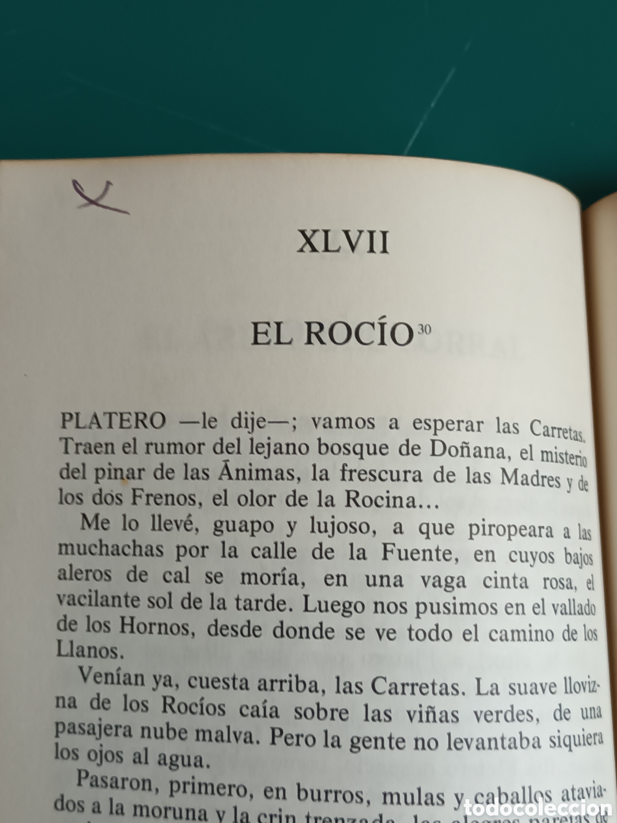Libros de segunda mano: Juan Ram&oacute;n Jimenez - Platero y yo. C&aacute;tedra 1981 - Foto 6
