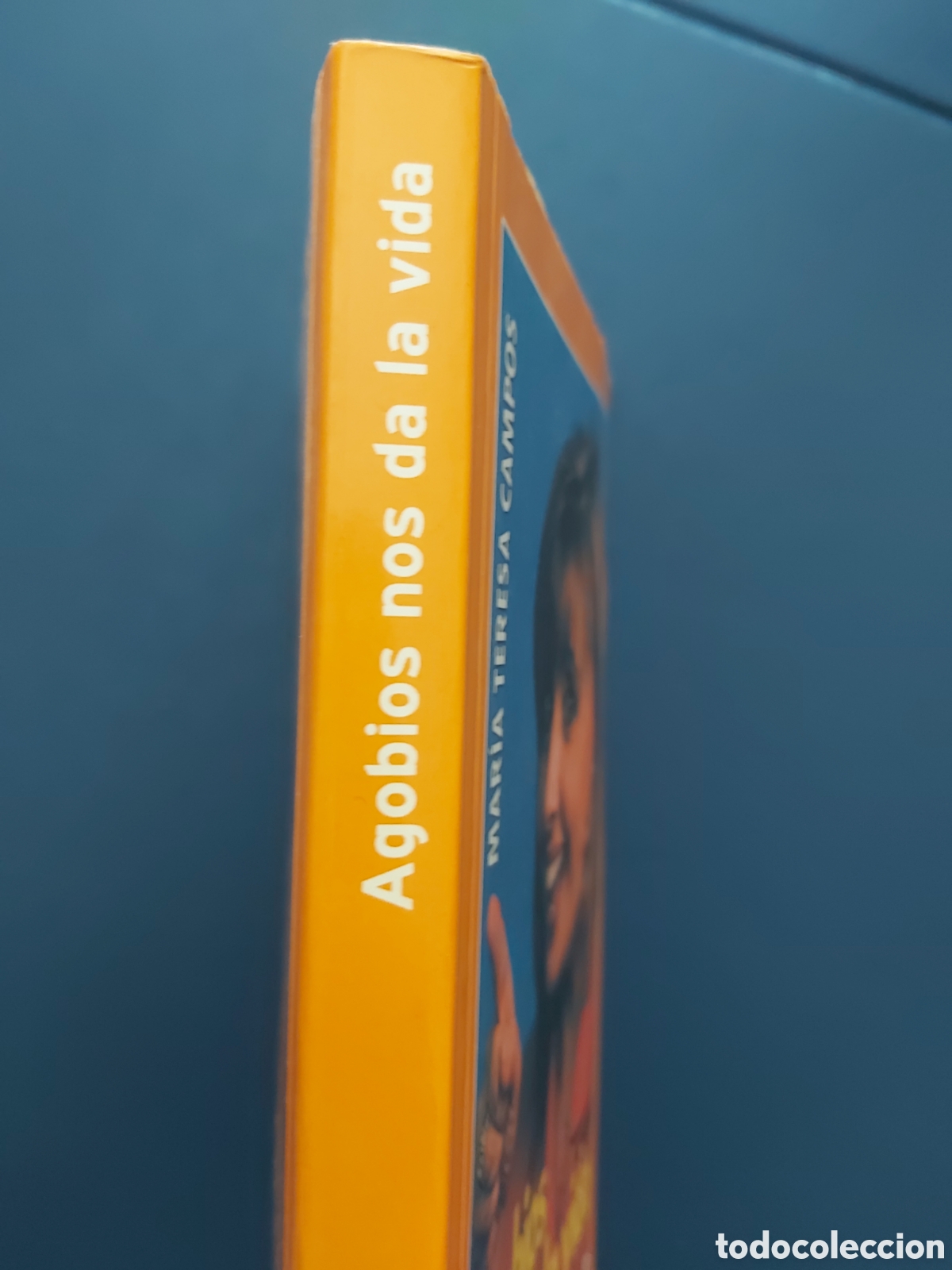 Libros de segunda mano: AGOBIOS NOS DA LA VIDA # M TERESA CAMPOS # TEMAS DE HOY # 2000 - Foto 8