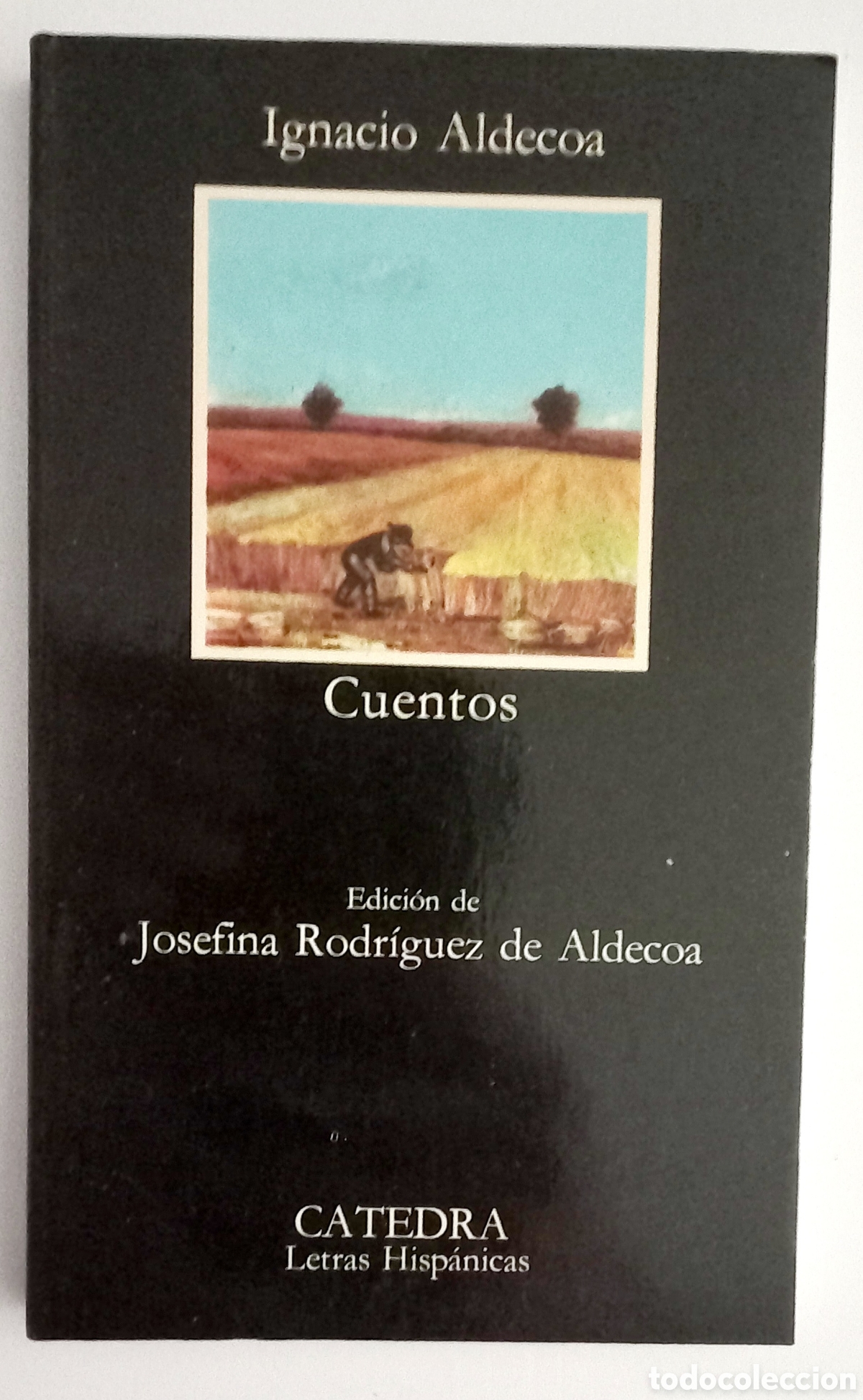 Libros de segunda mano: CUENTOS, IGNACIO ALDECOA. C&Aacute;TEDRA DE LETRAS HISPANICAS (1993) - Foto 1