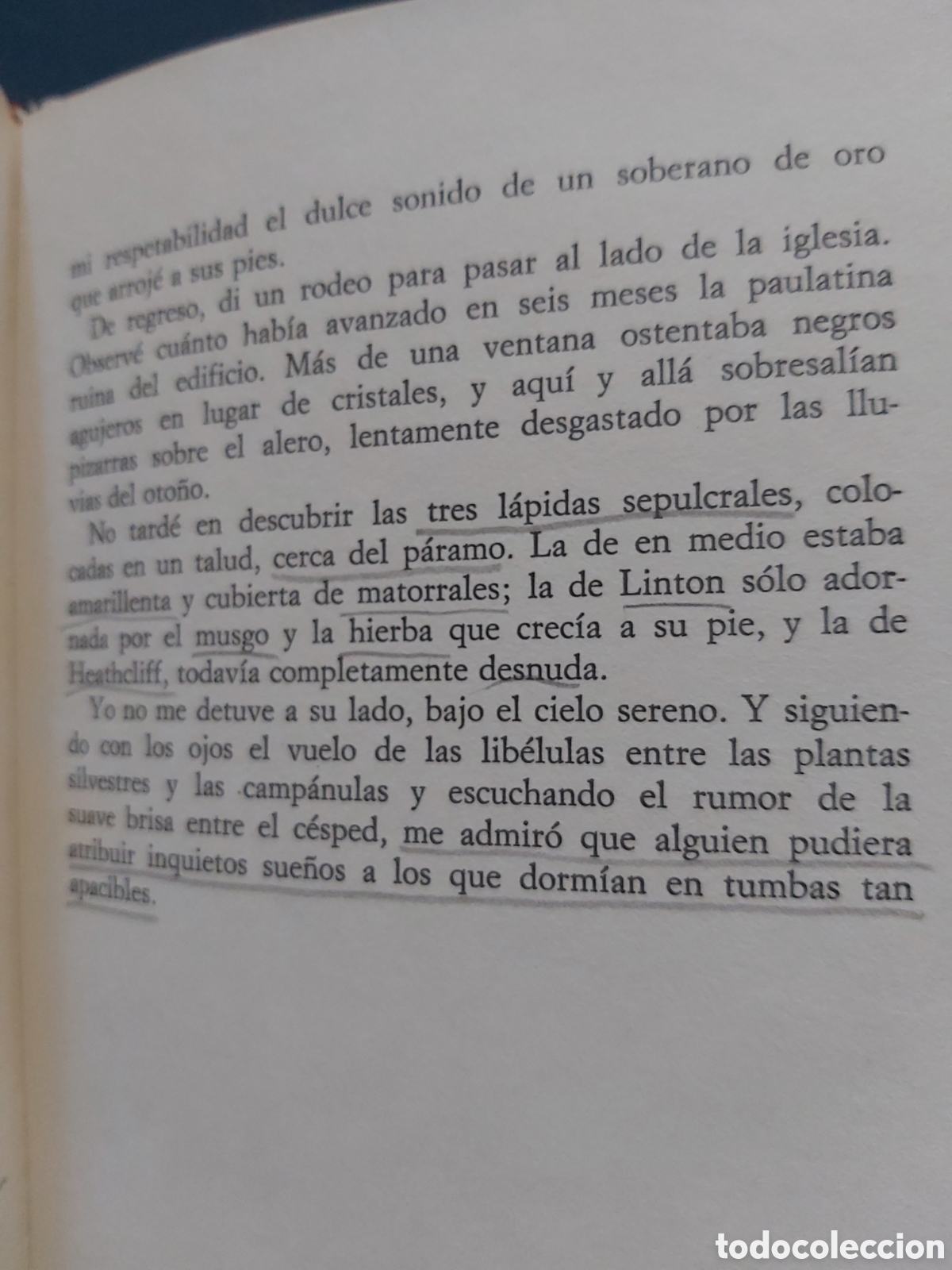 Libros de segunda mano: CUMBRES BORRASCOSAS # EMILY BRONT&Eacute; # C&Iacute;RCULO DE LECTORES # 1968 - Foto 5