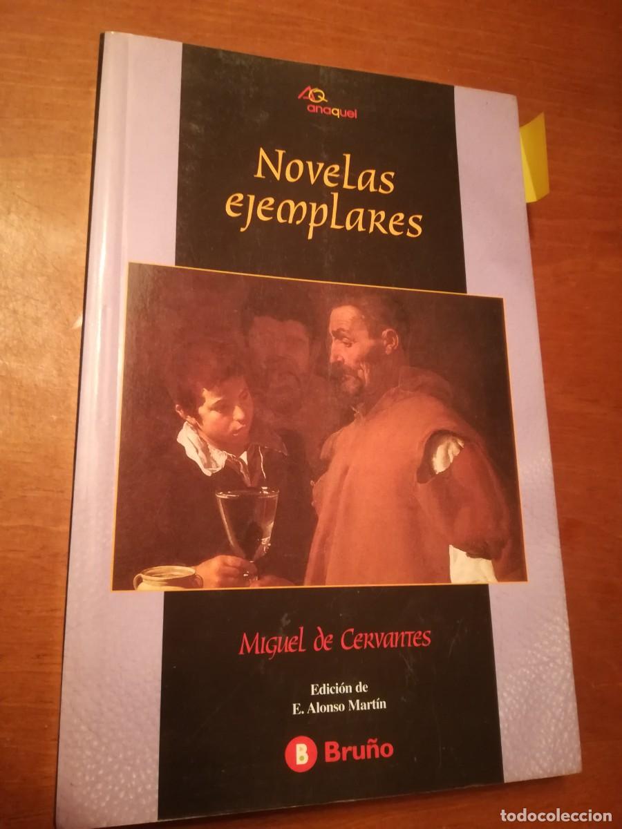 Libros de segunda mano: NOVELAS EJEMPLARES / MIGUEL DE CERVANTES / CONS 477 / BRU&Ntilde;O - Foto 1