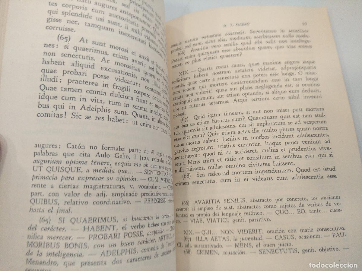 Libros de segunda mano: CICERON/DE SENECTUTE/AUREA MARIA MARTIN TORDESILLAS. - Foto 2