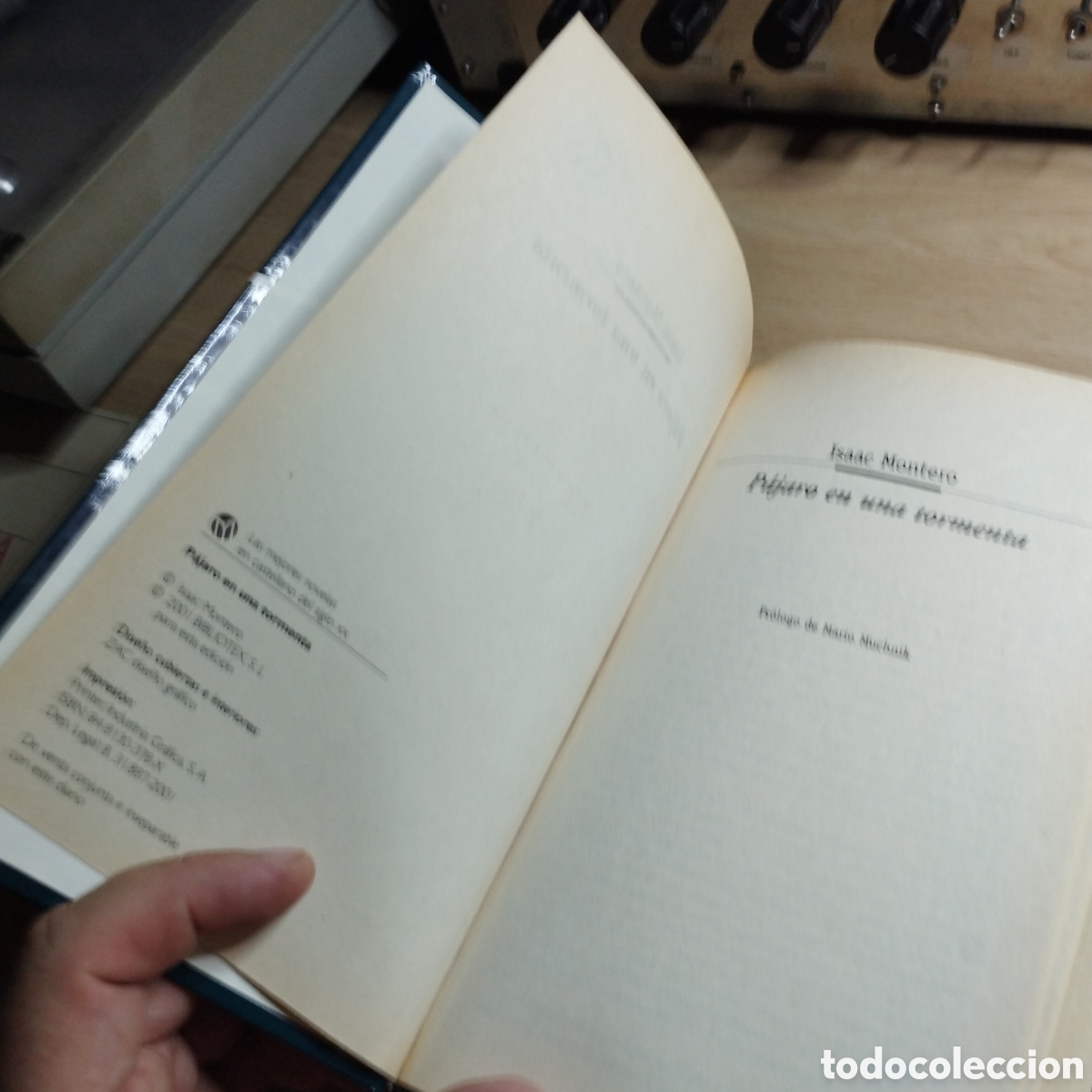 Libros de segunda mano: P&aacute;jaro en una tormenta. Isaac Montero. - Foto 4