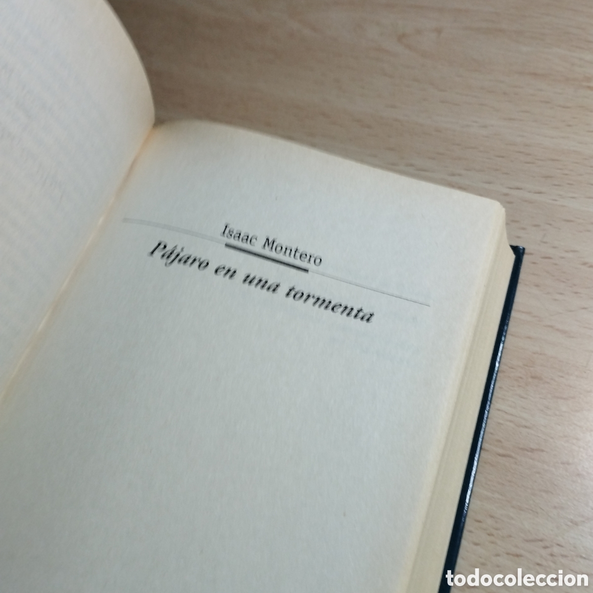 Libros de segunda mano: P&aacute;jaro en una tormenta. Isaac Montero. - Foto 5