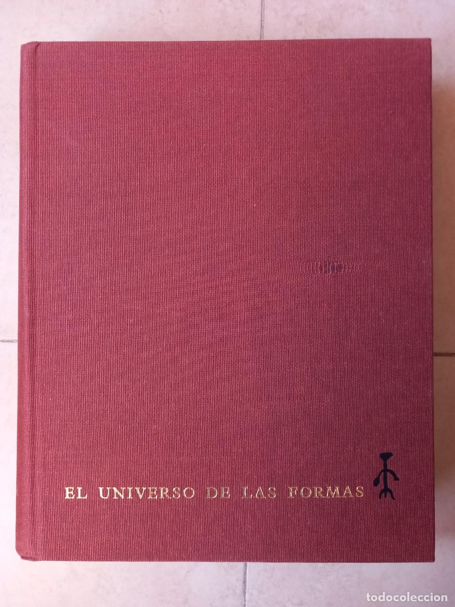 Libros de segunda mano: AGUILAR EL SIGLO DEL A&Ntilde;O MIL EL UNIVERSO DE LAS FORMAS - Foto 27