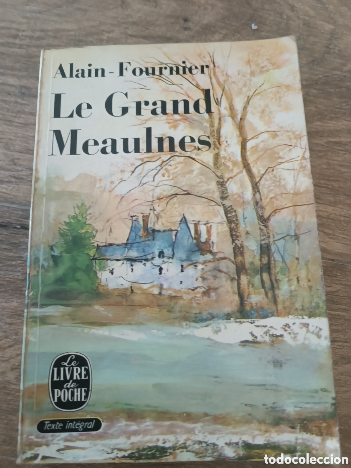 Libros de segunda mano: LE GRAN MEAULNES - ALAIN-FOURNIER - Foto 1