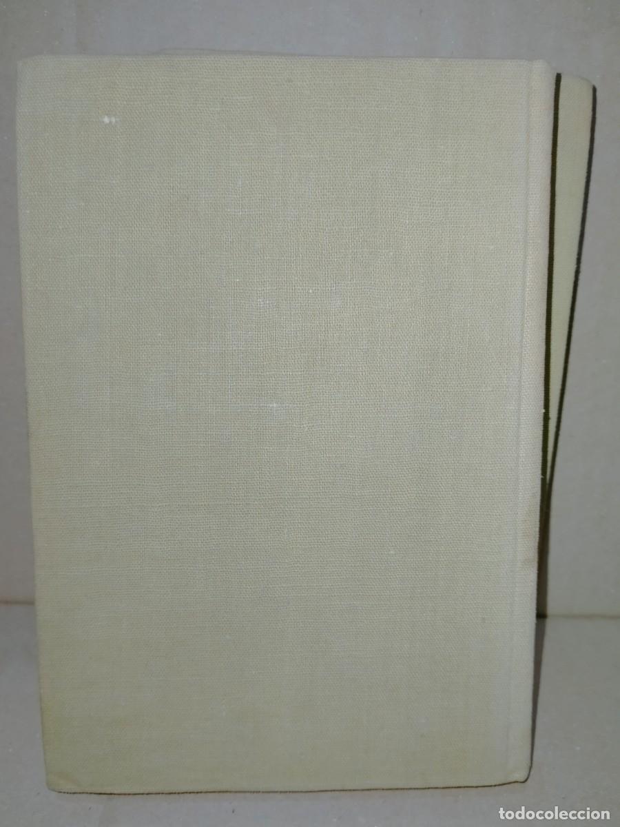 Libros de segunda mano: HOMERO. LA IL&Iacute;ADA (2 TOMOS) .LOSADA - Foto 5