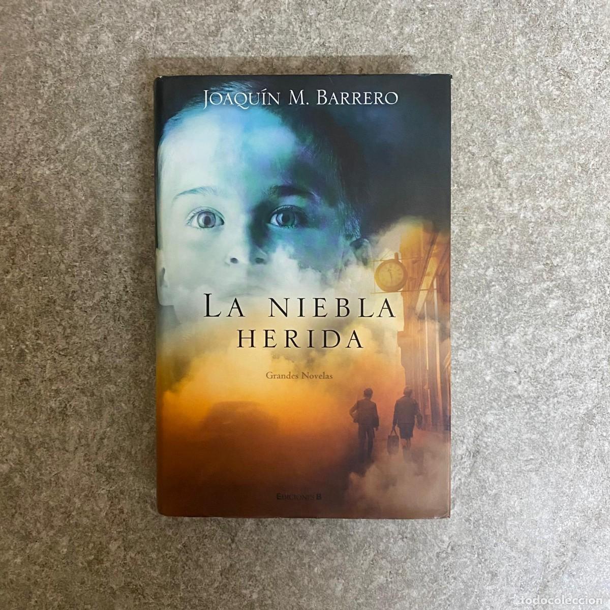 Libros de segunda mano: LA NIEBLA HERIDA (GRANDES NOVELAS) - Foto 1