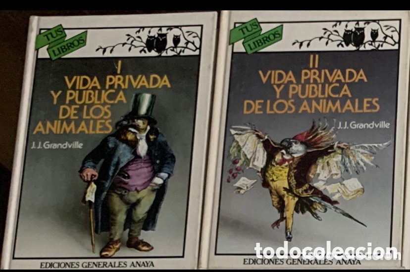Libros de segunda mano: Lote colecci&oacute;n Tus libros Editorial Anaya - Foto 1