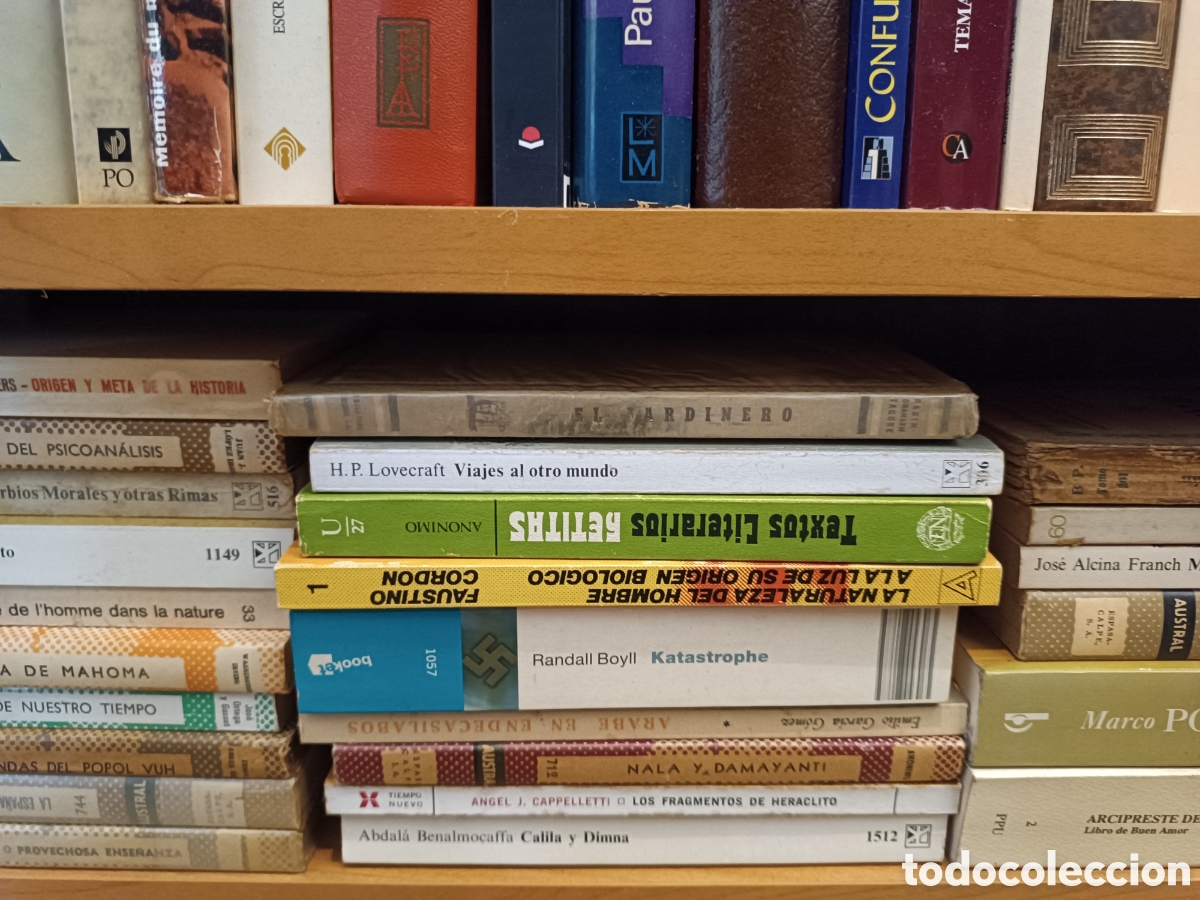 Libros de segunda mano: EL JARDINERO. RABINDRANATH TAGORE. EDC LOSADA. - Foto 7