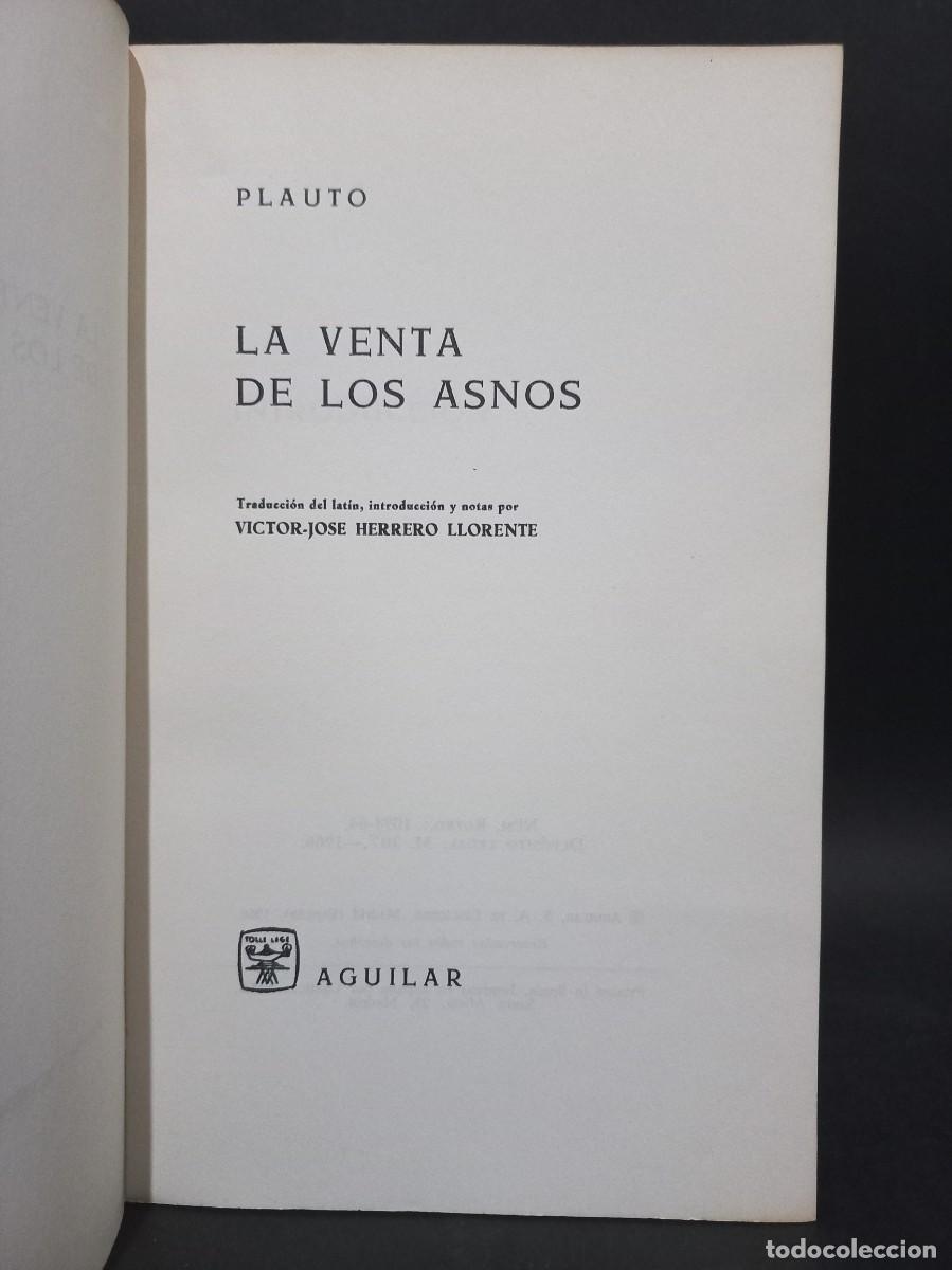 Libros de segunda mano: PLAUTO - LA VENTA DE LOS ASNOS - 1966 - Foto 2
