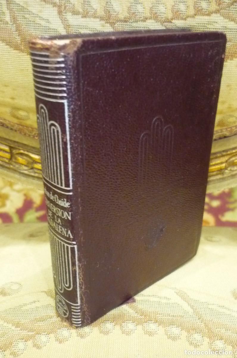 Libros de segunda mano: LIBRO DE LA CONVERSI&Oacute;N DE LA MACARENA, DE Fr. PEDRO MALON DE CHAIDE. COLECCI&Oacute;N CRISOL N&ordm; 162. 1&ordf; EDC - Foto 2