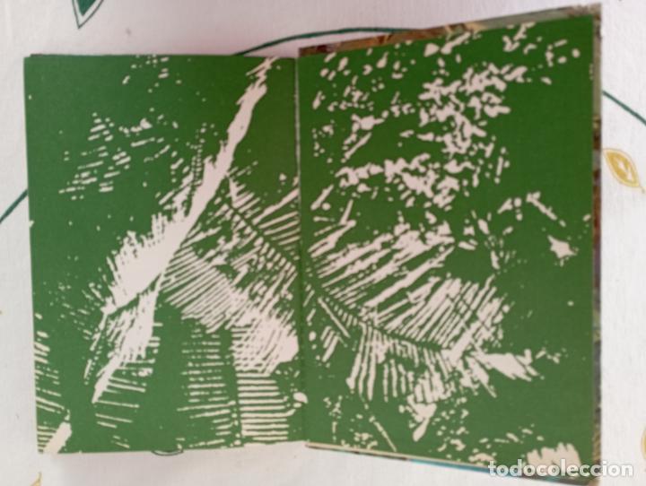 Libros de segunda mano: SALGARI GAHE N&ordm; 51 - LAS PANTERAS DE ARGEL - Foto 4