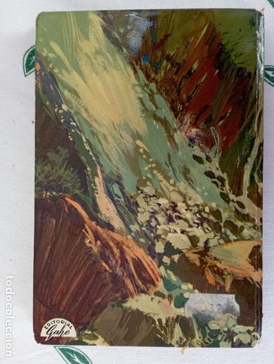 Libros de segunda mano: SALGARI GAHE N&ordm; 51 - LAS PANTERAS DE ARGEL - Foto 8
