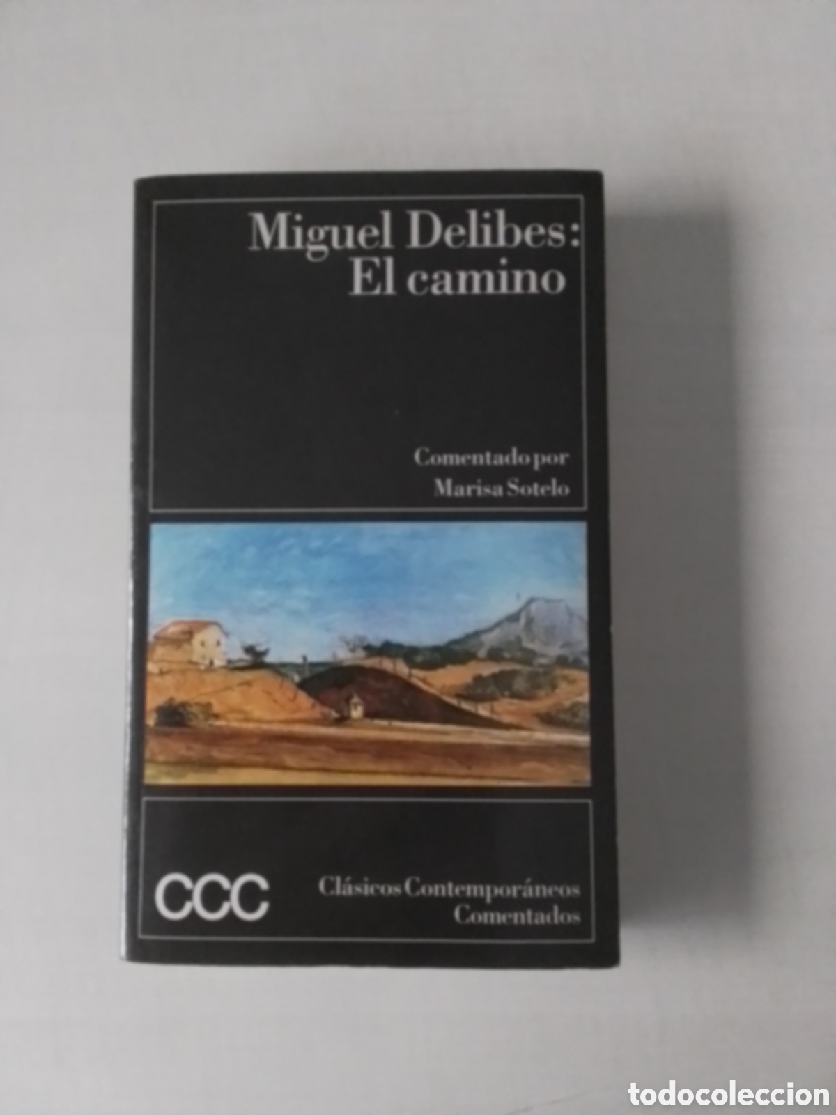 Libros de segunda mano: Libro Miguel Delibes - Foto 1