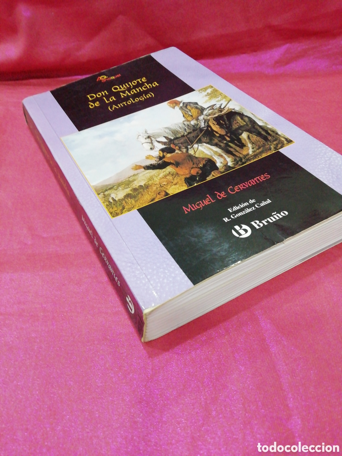 Libros de segunda mano: Don Quijote (Antolog&iacute;a) - Ed. Bru&ntilde;o 2006 - Foto 2