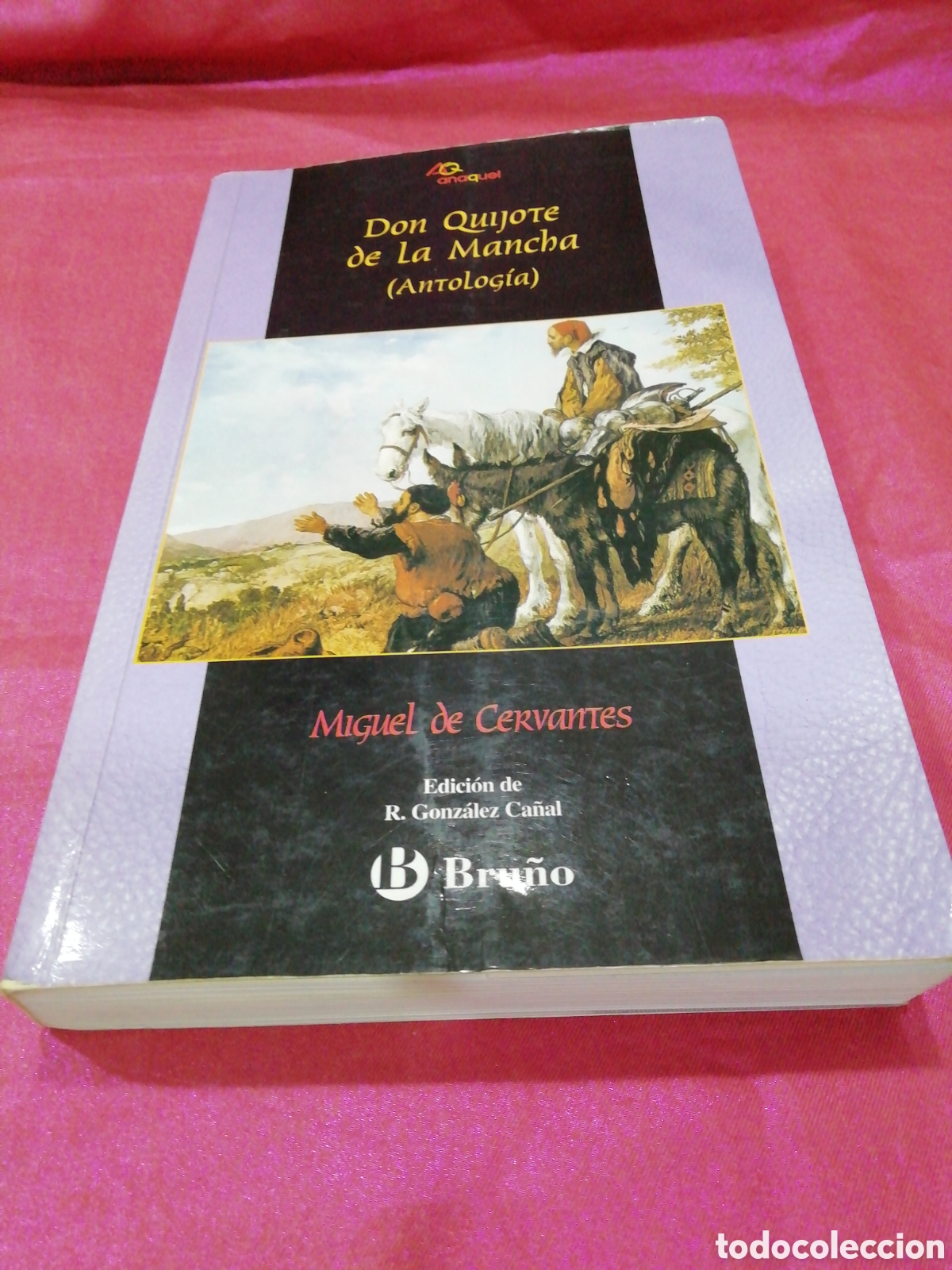 Libros de segunda mano: Don Quijote (Antolog&iacute;a) - Ed. Bru&ntilde;o 2006 - Foto 1