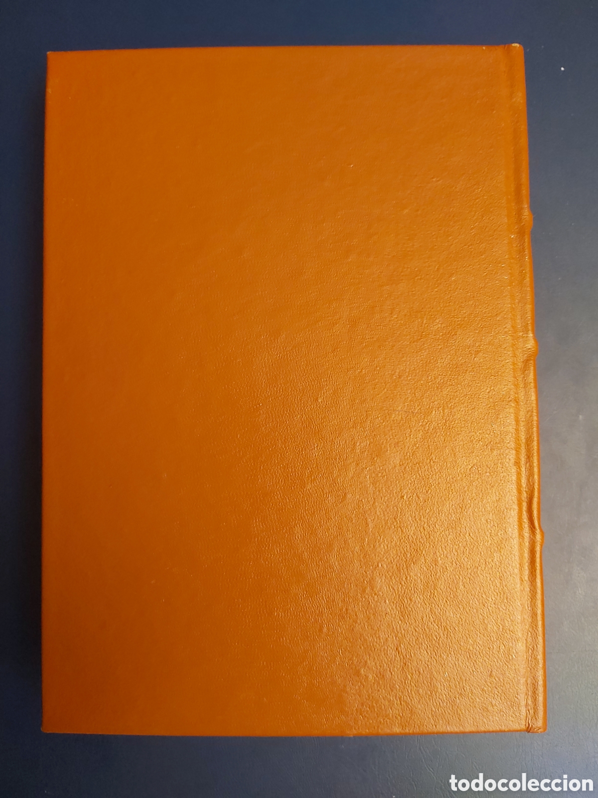 Libros de segunda mano: LA DIVINA COMEDIA I $ DANTE $ CLUB INTERNACIONAL LIBRO $ 1983 - Foto 11