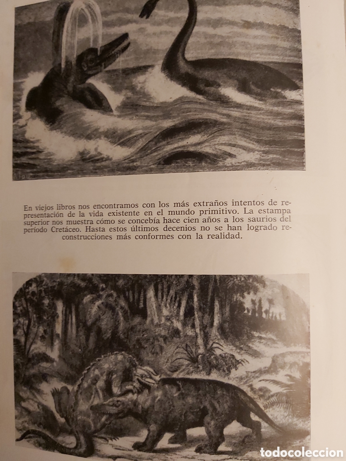 Libros de segunda mano: ANTES DEL DILUVIO $ HERBERT WENDT $ NOGUER $ 1974 - Foto 7