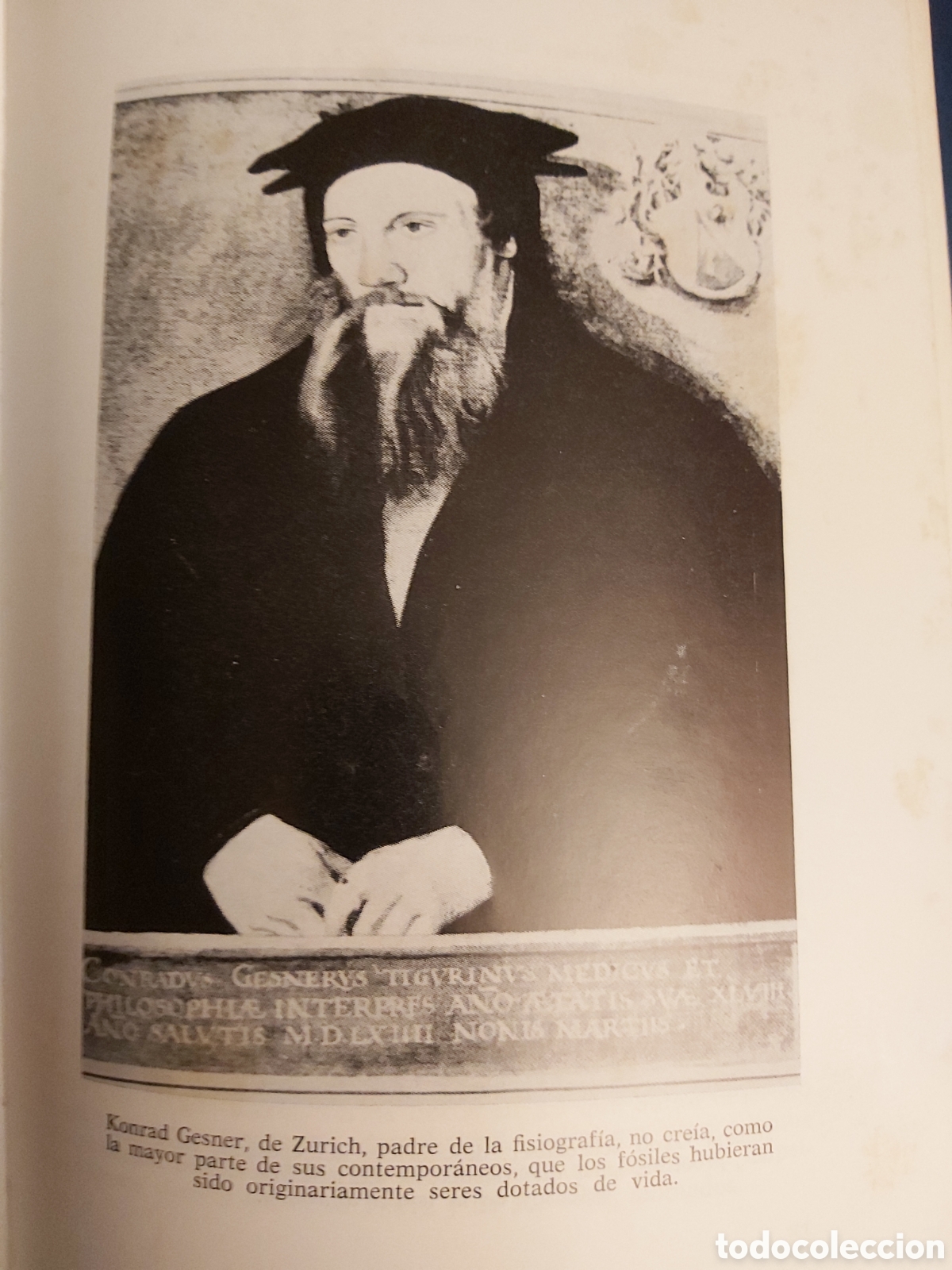 Libros de segunda mano: ANTES DEL DILUVIO $ HERBERT WENDT $ NOGUER $ 1974 - Foto 8