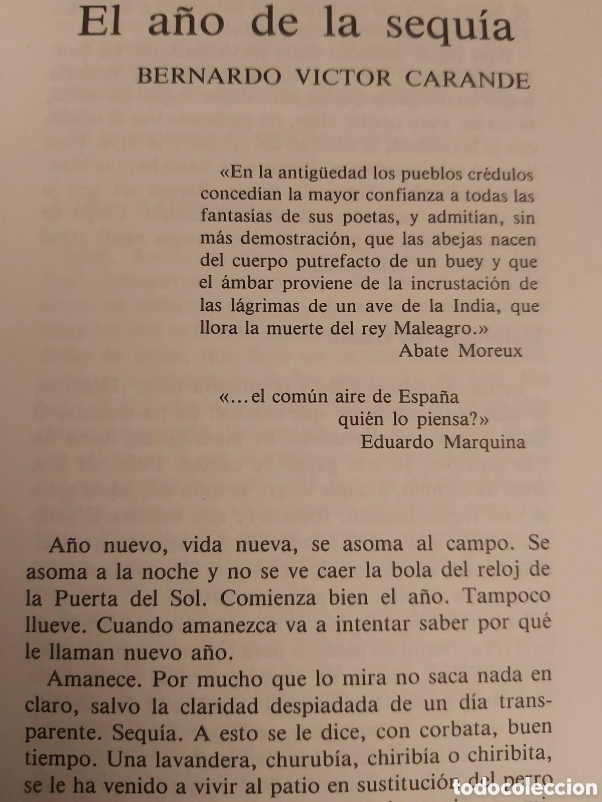 Libros de segunda mano: EL A&Ntilde;O DE LA SEQU&Iacute;A $ BERNARDO V. CARANDE $ AMBITO $ 1983 - Foto 5