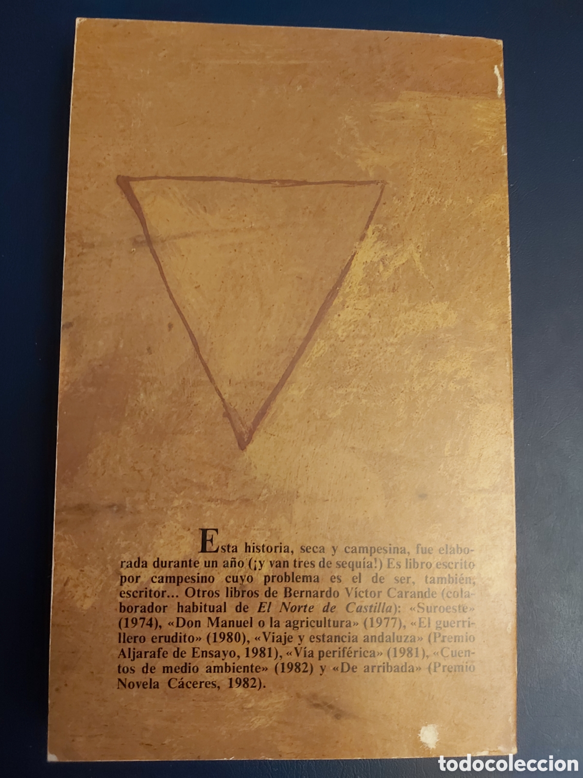 Libros de segunda mano: EL A&Ntilde;O DE LA SEQU&Iacute;A $ BERNARDO V. CARANDE $ AMBITO $ 1983 - Foto 6