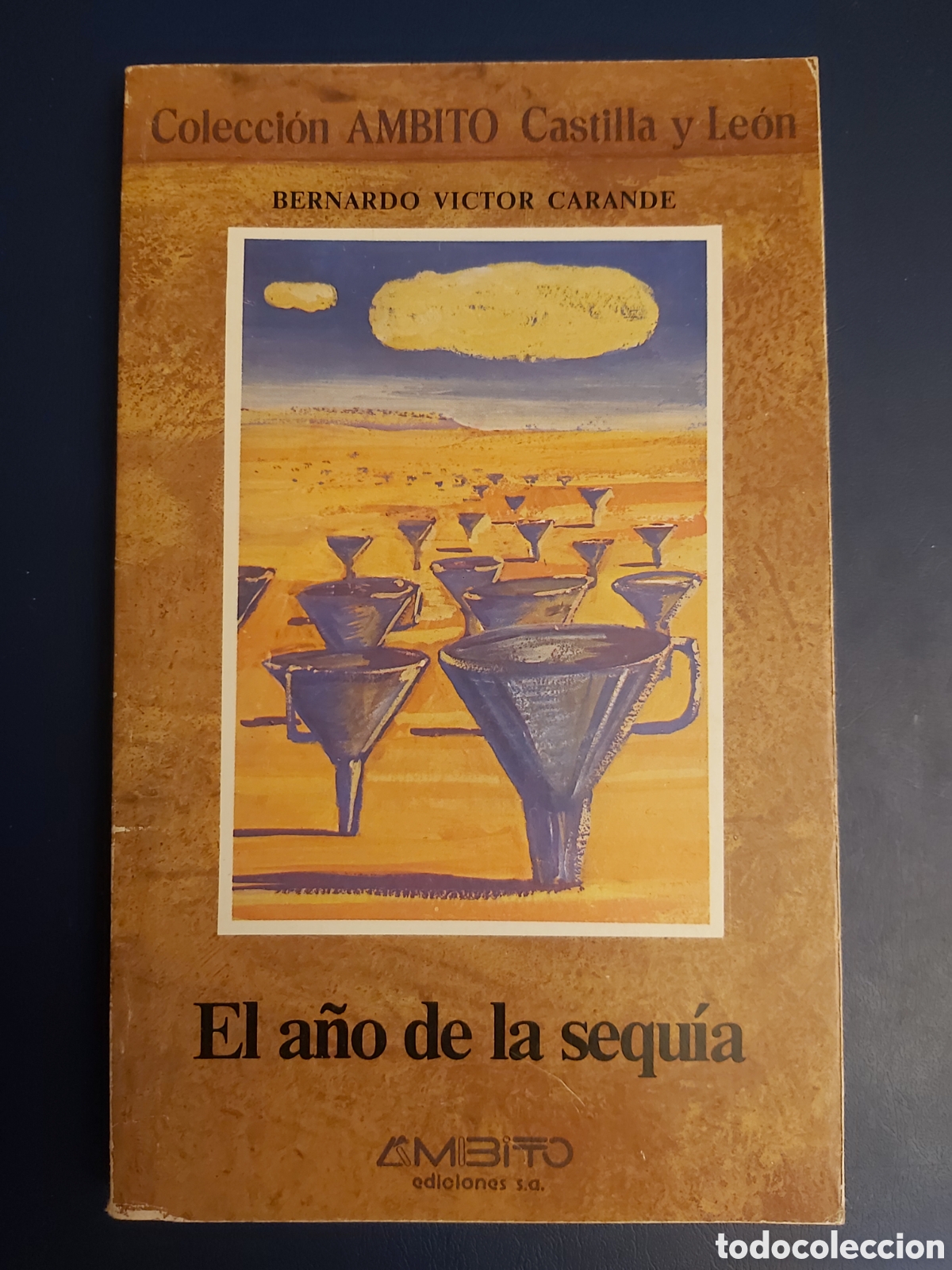 Libros de segunda mano: EL A&Ntilde;O DE LA SEQU&Iacute;A $ BERNARDO V. CARANDE $ AMBITO $ 1983 - Foto 1