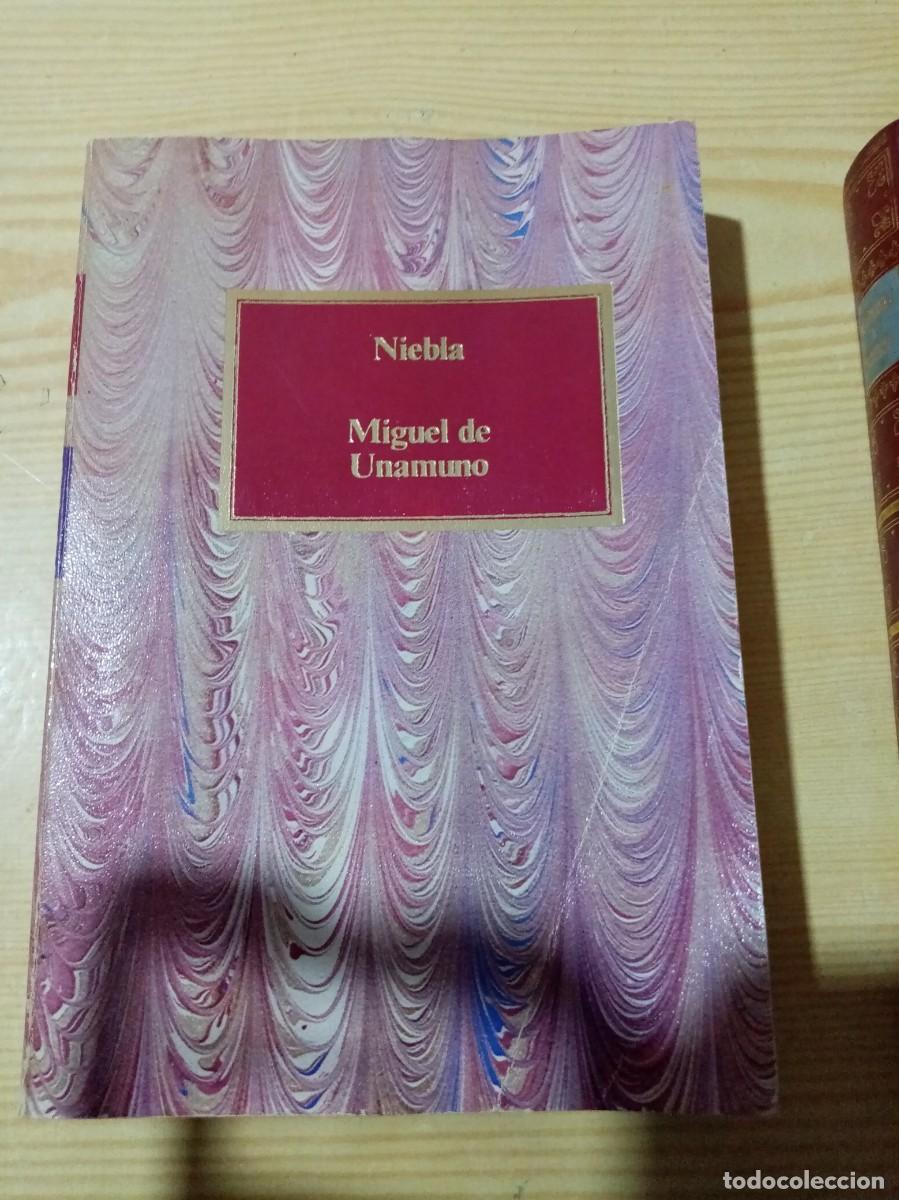 Libros de segunda mano: NIEBLA. MIGUEL DE UNAMUNO. EST26B2 - Foto 1