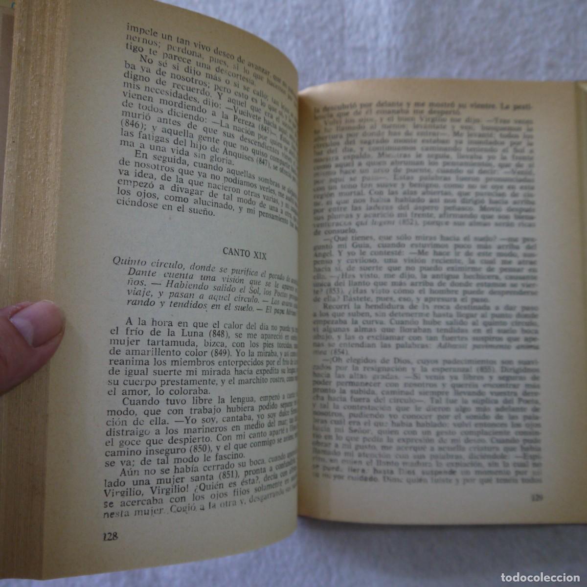 Libros de segunda mano: LA DIVINA COMEDIA - DANTE - EDICIONES PETRONIO - 1973 - Foto 7