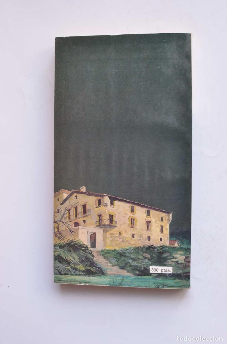 Libros de segunda mano: Argeo ha muerto, supongo - AL&Oacute;S, Concha - Foto 3