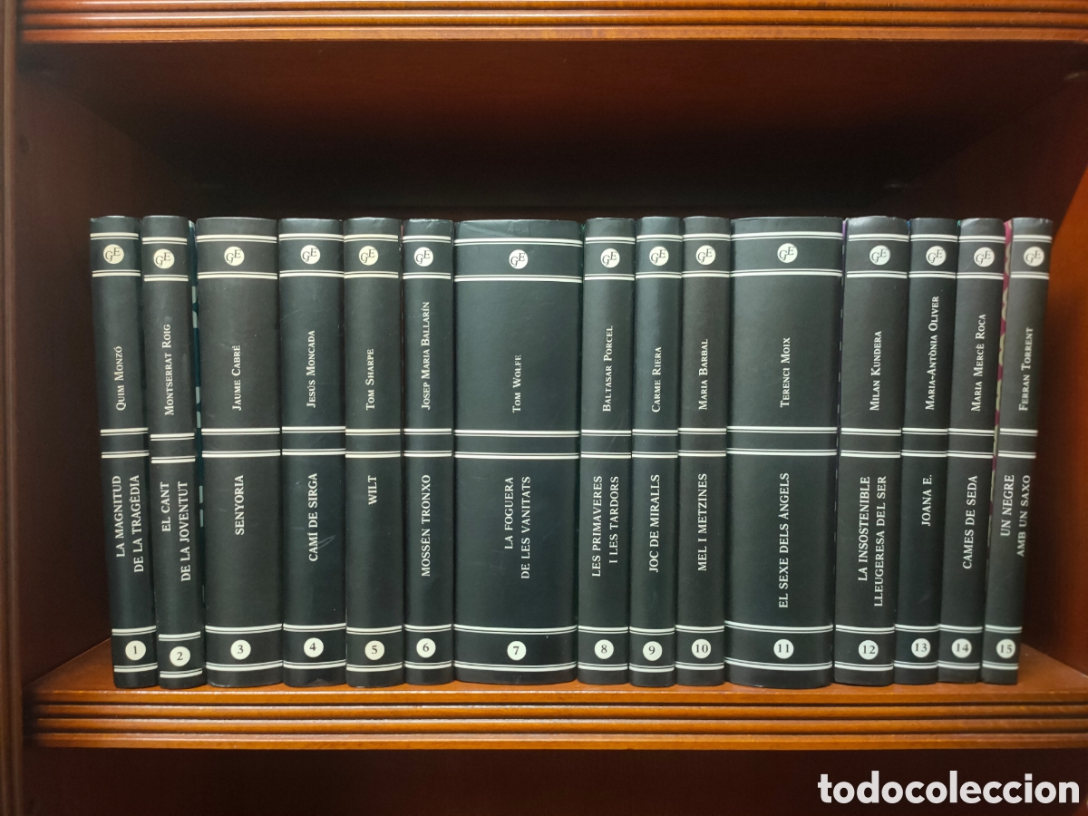 Libros de segunda mano: QUINZE GRANS &Egrave;XITS ***COL. COMPLETA*** - Foto 2