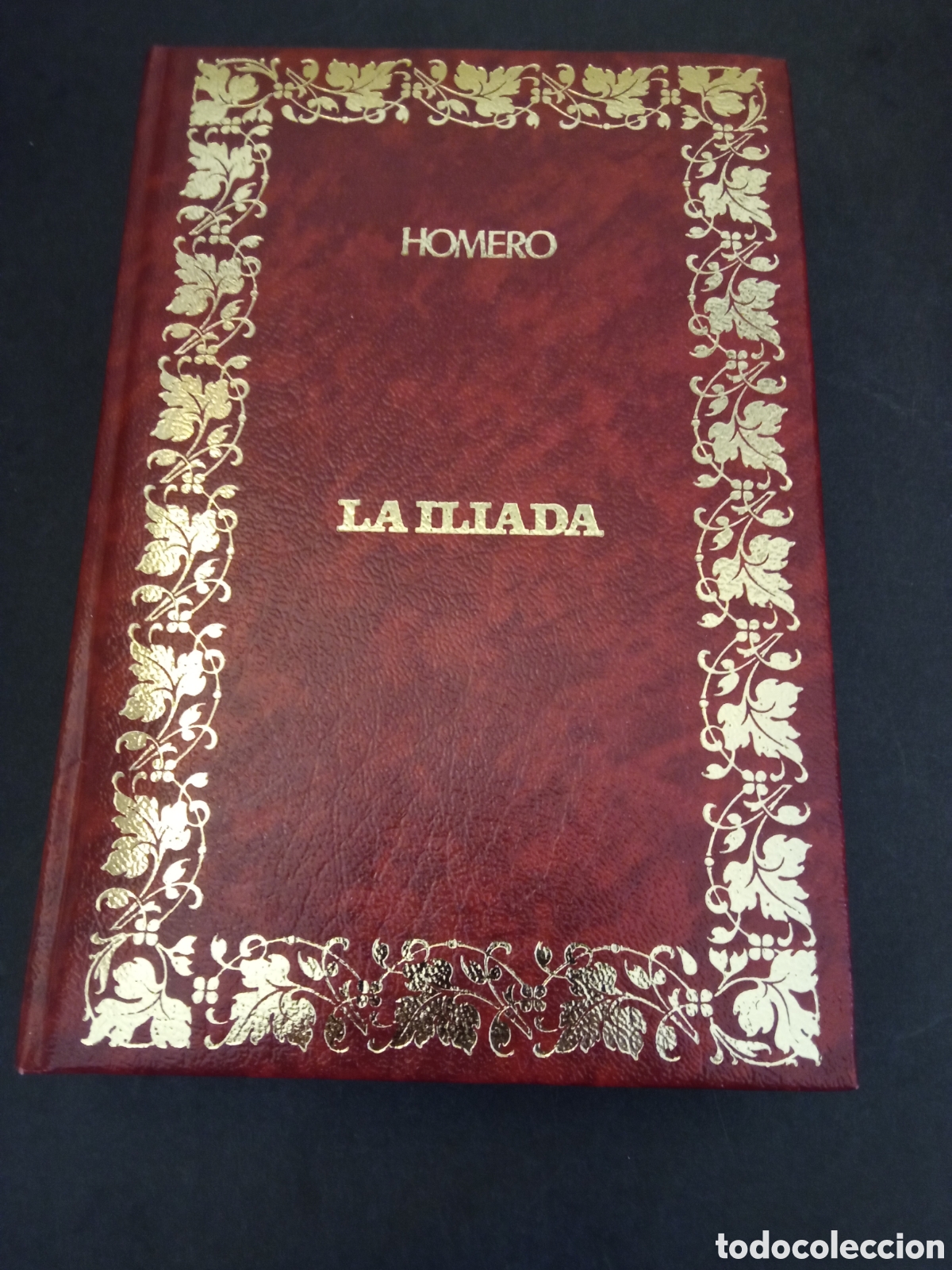 Libros de segunda mano: La Il&iacute;ada - Foto 1
