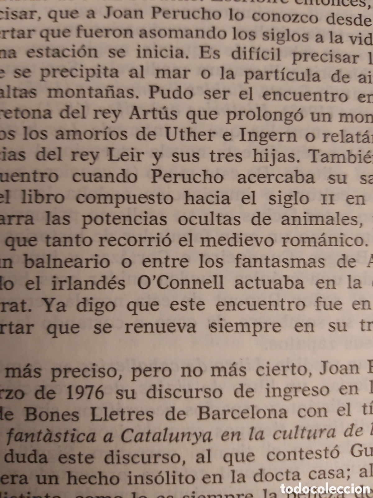 Libros de segunda mano: LIBRO DE CABALLER&Iacute;AS $ JUAN PERUCHO $ PLANETA $ 1976 - Foto 5