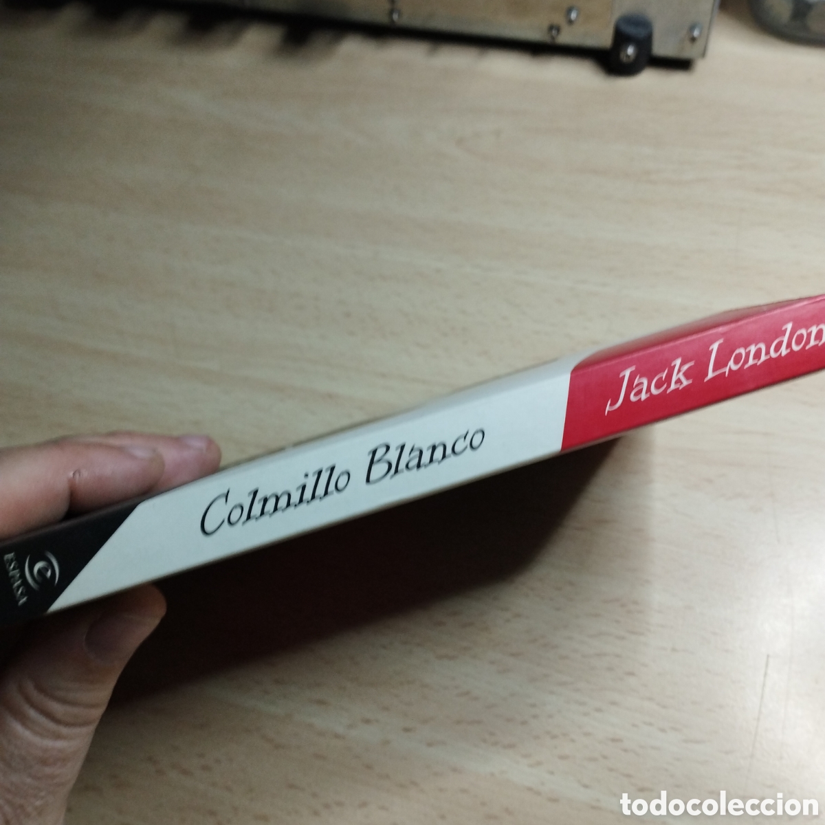 Libros de segunda mano: Colmillo Blanco. Jack London. 1998. Espasa - Foto 3