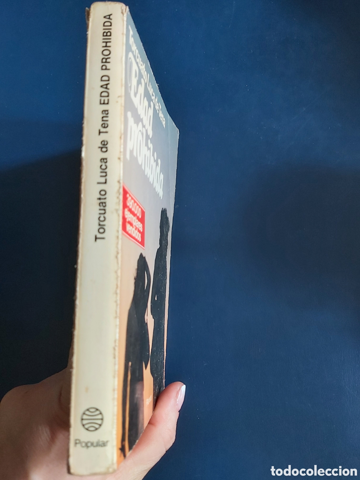 Libros de segunda mano: EDAD PROHIBIDA # TORCUATO LUCA DE TENA# PLANETA 1985 - Foto 2